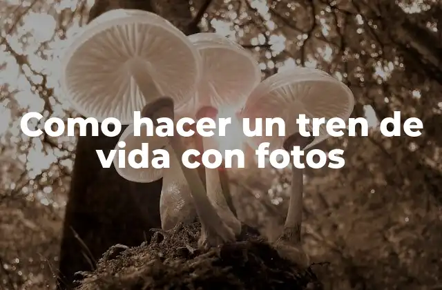 Como Hacer un Tren de Vida con Fotos