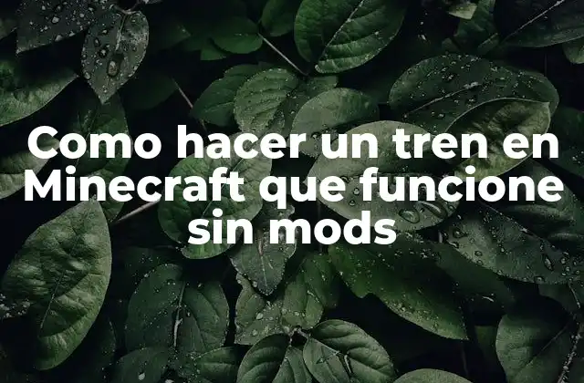 Como Hacer un Tren en Minecraft que Funcione sin Mods