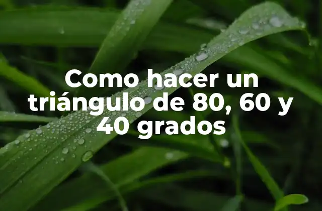 Como Hacer un Triángulo de 80, 60 y 40 Grados