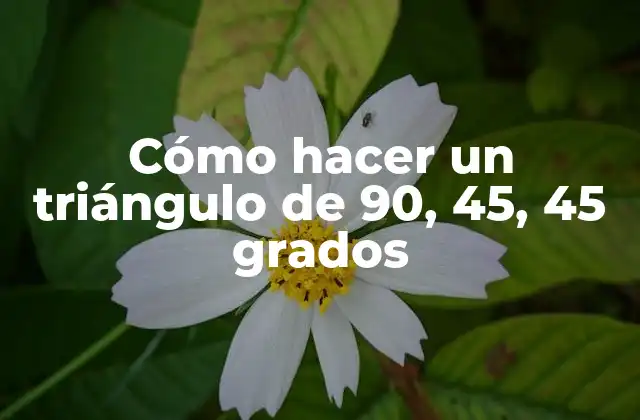 Cómo Hacer un Triángulo de 90, 45, 45 Grados