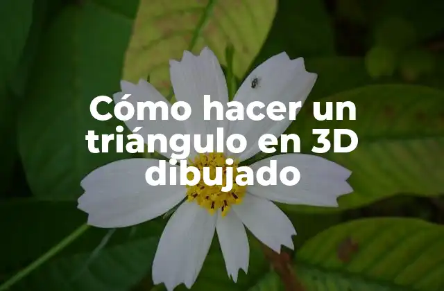 ¿Qué es un triángulo en 3D dibujado?