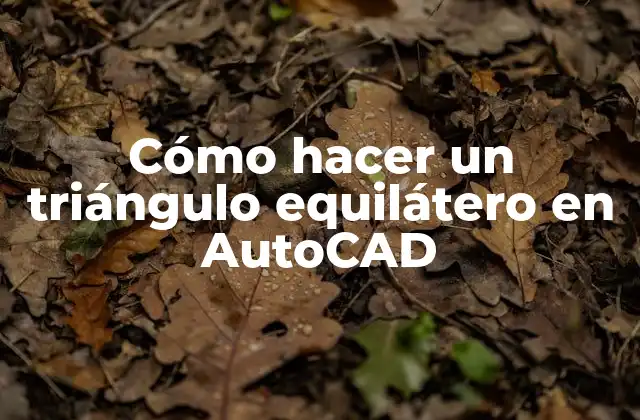 Cómo Hacer un Triángulo Equilátero en Autocad