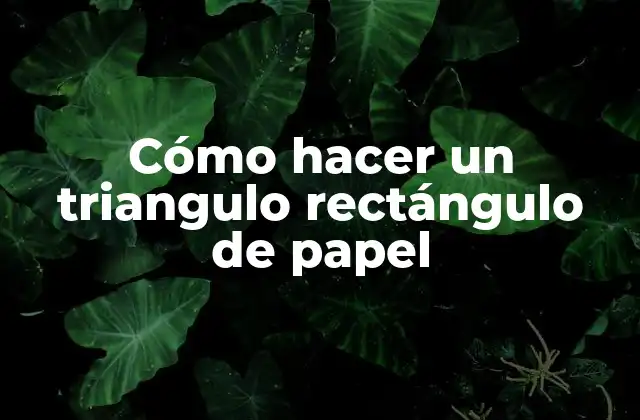 Cómo Hacer un Triangulo Rectángulo de Papel