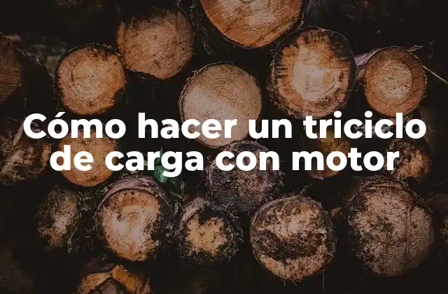 ¿Qué es un triciclo de carga con motor?