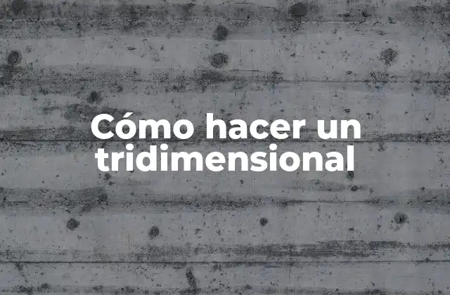 Cómo Hacer un Tridimensional