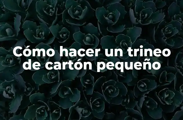 Cómo Hacer un Trineo de Cartón Pequeño