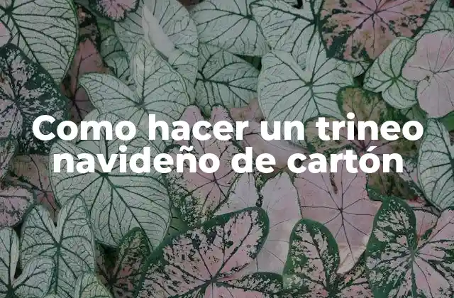 Como Hacer un Trineo Navideño de Cartón
