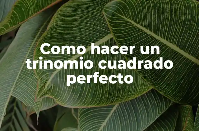 ¿Qué es un trinomio cuadrado perfecto?