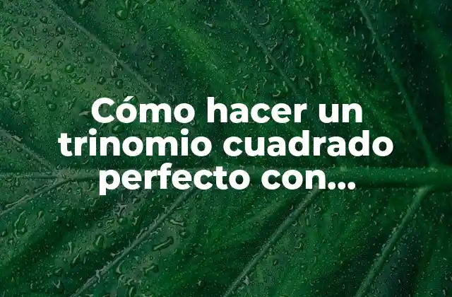 Cómo Hacer un Trinomio Cuadrado Perfecto con Fracciones