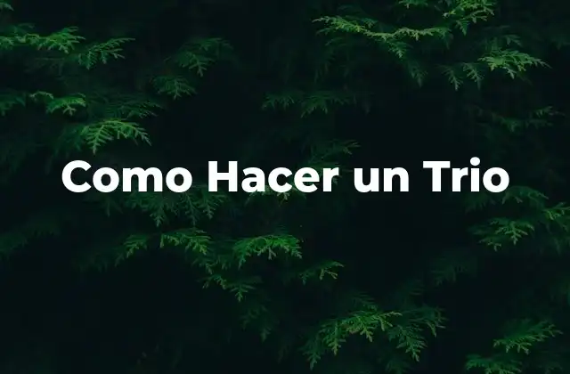 ¿Qué es un Trio Musical?