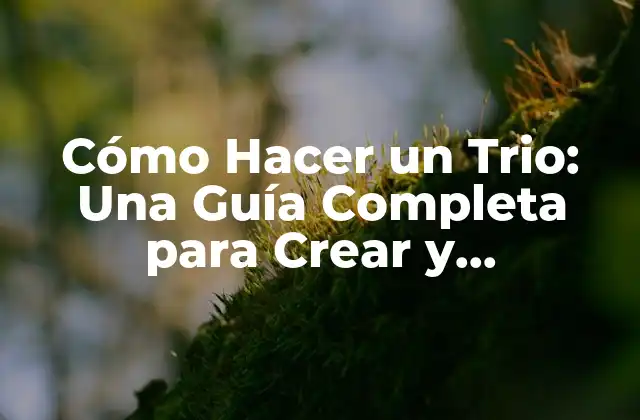 Cómo Hacer un Trio: una Guía Completa para Crear y Interpretar Música en Grupo