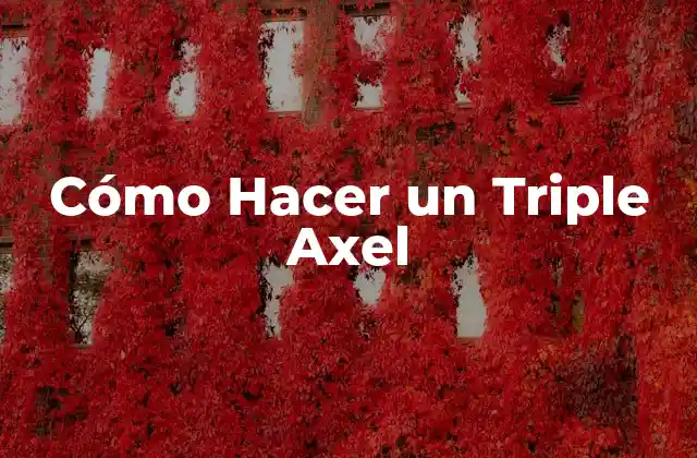 Cómo Hacer un Triple Axel 2 ¿Qué es un Triple Axel?