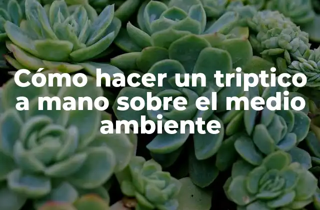 Cómo hacer un triptico a mano sobre el medio ambiente