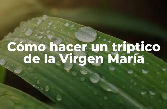 Cómo Hacer un Triptico de la Virgen María