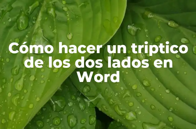 Cómo Hacer un Triptico de los Dos Lados en Word