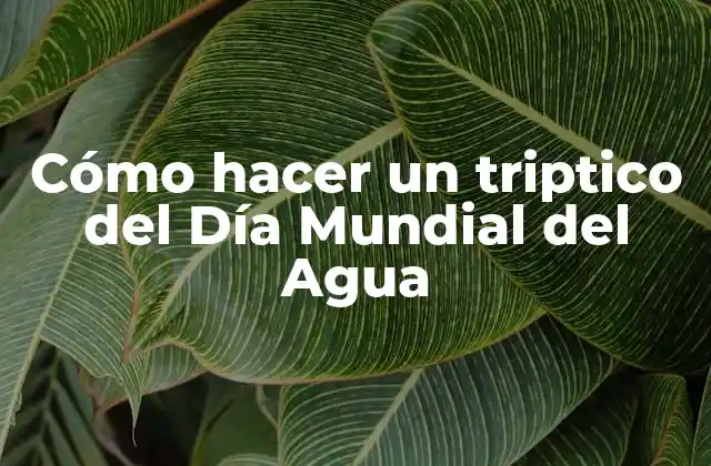 Cómo Hacer un Triptico Del Día Mundial Del Agua