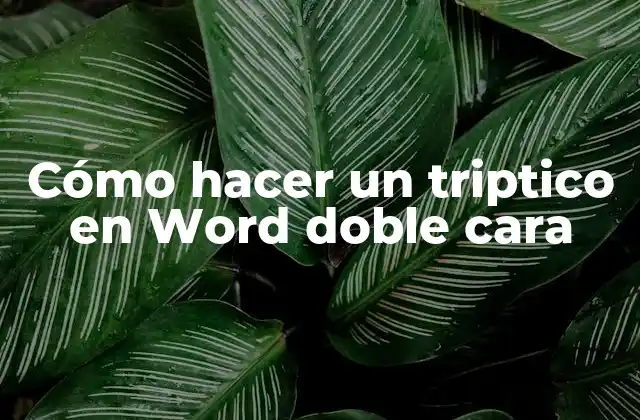 Cómo Hacer un Triptico en Word Doble Cara