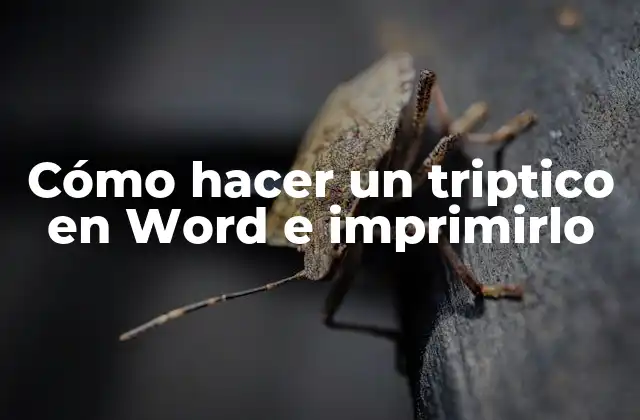 Cómo Hacer un Triptico en Word e Imprimirlo
