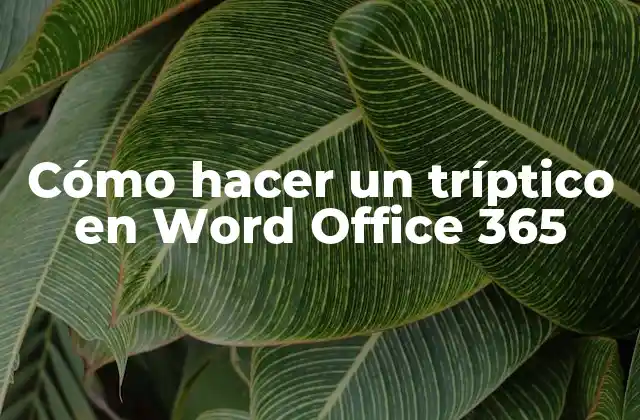 Cómo Hacer un Tríptico en Word Office 365