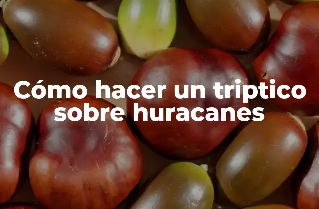 Cómo Hacer un Triptico sobre Huracanes