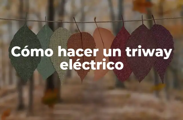 Cómo Hacer un Triway Eléctrico