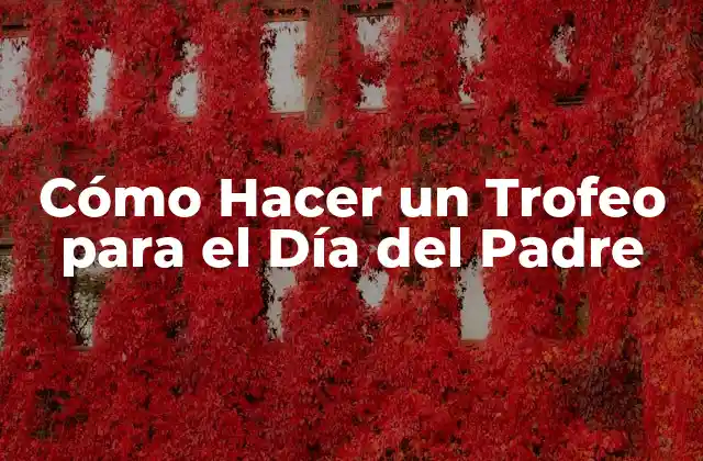 Cómo Hacer un Trofeo para el Día Del Padre