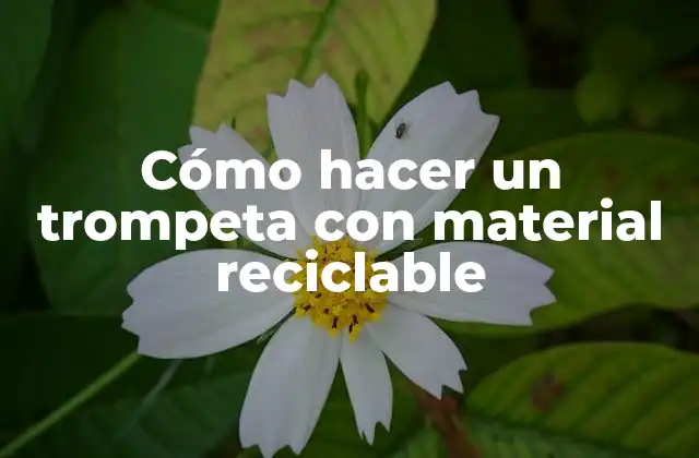 Cómo Hacer un Trompeta con Material Reciclable