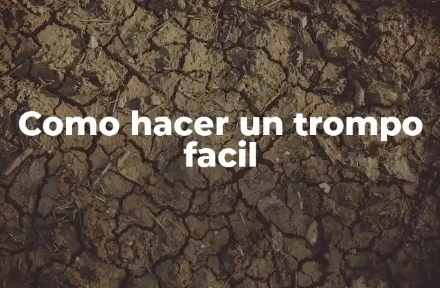 Como Hacer un Trompo Facil 2 ¿Qué es un trompo y para qué sirve?