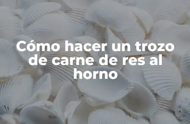 Cómo Hacer un Trozo de Carne de Res Al Horno