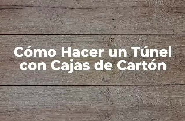 Cómo Hacer un Túnel con Cajas de Cartón