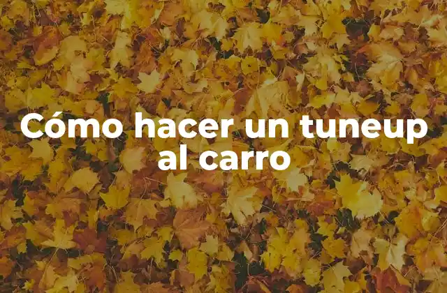 Cómo Hacer un Tuneup Al Carro