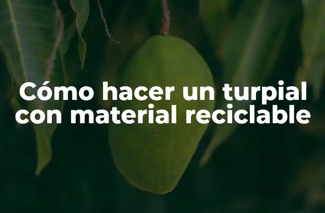 Cómo Hacer un Turpial con Material Reciclable