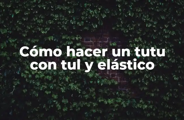 Cómo Hacer un Tutu con Tul y Elástico 2 ¿Qué es un tutu y para qué sirve?