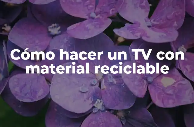 Cómo Hacer un Tv con Material Reciclable