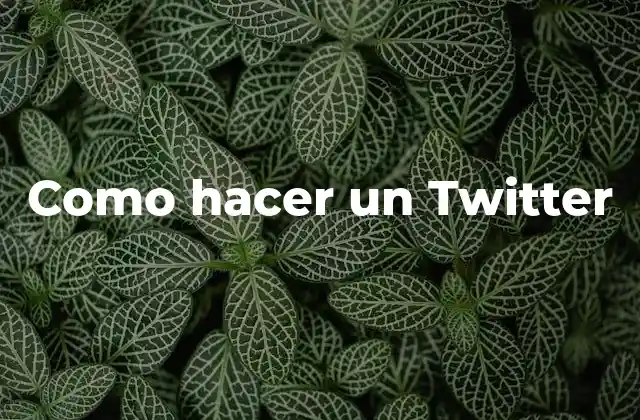 ¿Qué es Twitter y cómo funciona?