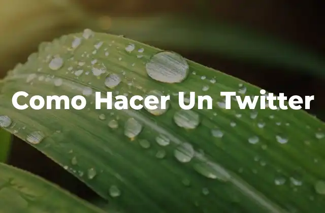 ¿Qué es Twitter y Para Qué Sirve?
