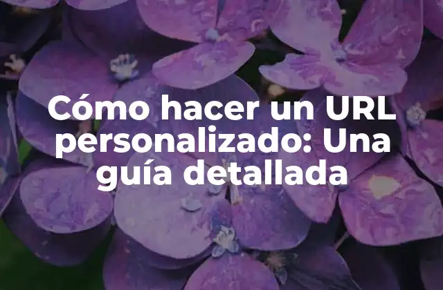 Cómo Hacer un Url Personalizado: una Guía Detallada