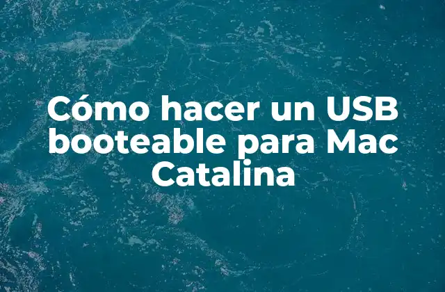 Cómo Hacer un Usb Booteable para Mac Catalina