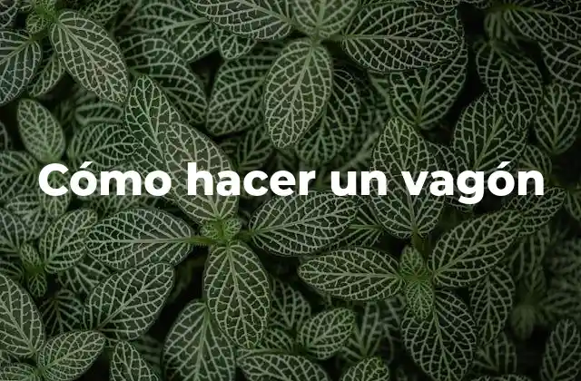 Cómo hacer un vagón
