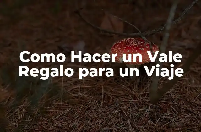 Como Hacer un Vale Regalo para un Viaje