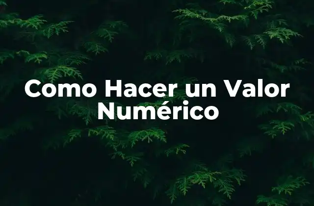 Como Hacer un Valor Numérico 2 ¿Qué es un Valor Numérico?