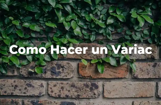 Como Hacer un Variac