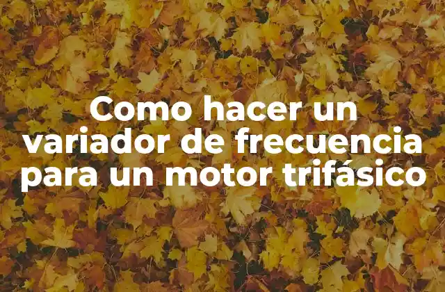 Como Hacer un Variador de Frecuencia para un Motor Trifásico