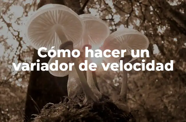 Cómo Hacer un Variador de Velocidad