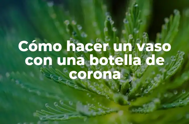 Cómo Hacer un Vaso con una Botella de Corona