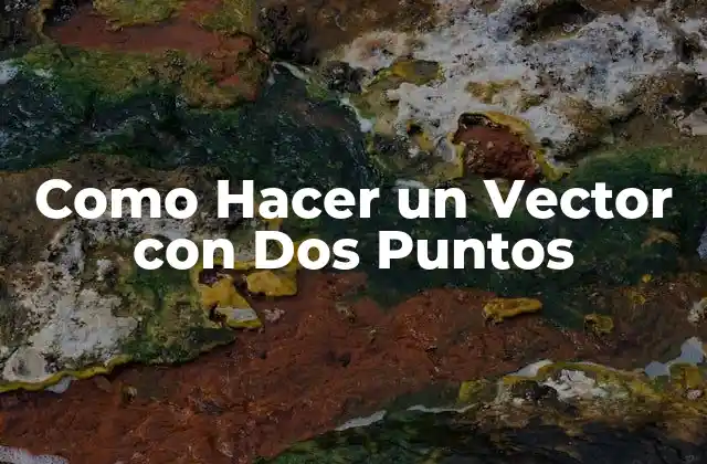 Como Hacer un Vector con Dos Puntos