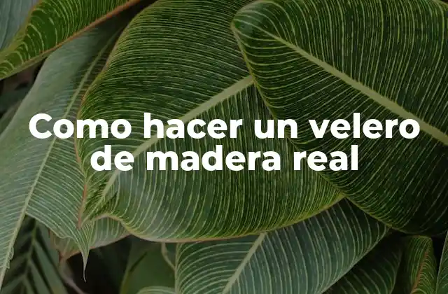 Que es un velero de madera real y para qué sirve