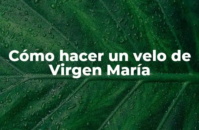 Cómo Hacer un Velo de Virgen María
