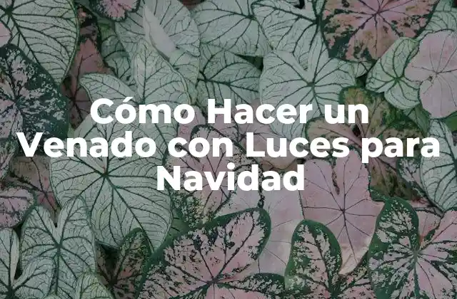 Cómo Hacer un Venado con Luces para Navidad