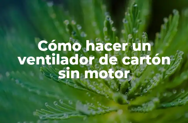 Cómo Hacer un Ventilador de Cartón sin Motor